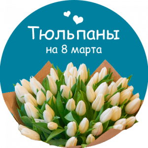 Купить тюльпаны в Муравленко